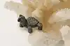 Thumbnail image 1