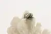 Thumbnail image 1