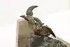Thumbnail image 19