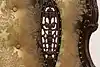 Thumbnail image 15