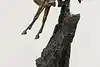 Thumbnail image 12