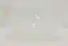 Thumbnail image 7