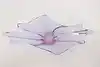 Thumbnail image 8