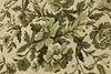Thumbnail image 7