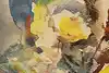 Thumbnail image 8