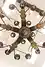 Thumbnail image 19