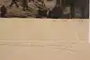 Thumbnail image 10