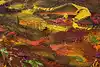 Thumbnail image 13