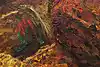 Thumbnail image 15