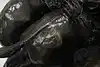 Thumbnail image 17
