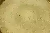 Thumbnail image 6