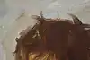 Thumbnail image 8