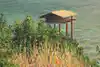 Thumbnail image 8