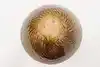Thumbnail image 8