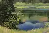 Thumbnail image 7