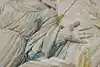 Thumbnail image 18