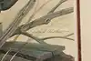 Thumbnail image 9