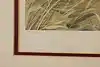 Thumbnail image 10