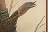 Thumbnail image 7