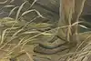 Thumbnail image 8