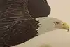 Thumbnail image 6