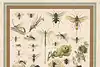 Thumbnail image 5