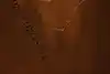 Thumbnail image 12