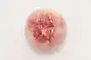 Thumbnail image 7