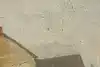 Thumbnail image 7