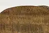 Thumbnail image 12