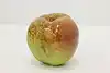 Thumbnail image 5