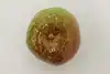 Thumbnail image 6