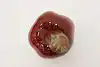 Thumbnail image 6