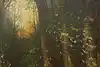 Thumbnail image 12