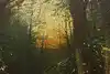 Thumbnail image 7