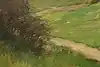Thumbnail image 9