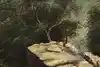 Thumbnail image 9