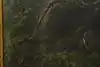 Thumbnail image 15