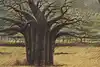 Thumbnail image 9
