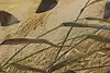 Thumbnail image 11