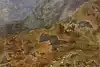 Thumbnail image 10