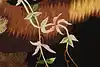 Thumbnail image 10