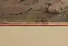 Thumbnail image 11