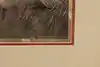 Thumbnail image 12