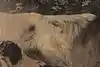 Thumbnail image 14
