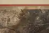 Thumbnail image 15