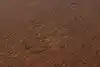 Thumbnail image 25