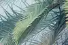 Thumbnail image 9