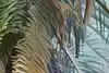 Thumbnail image 11