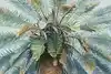 Thumbnail image 1
